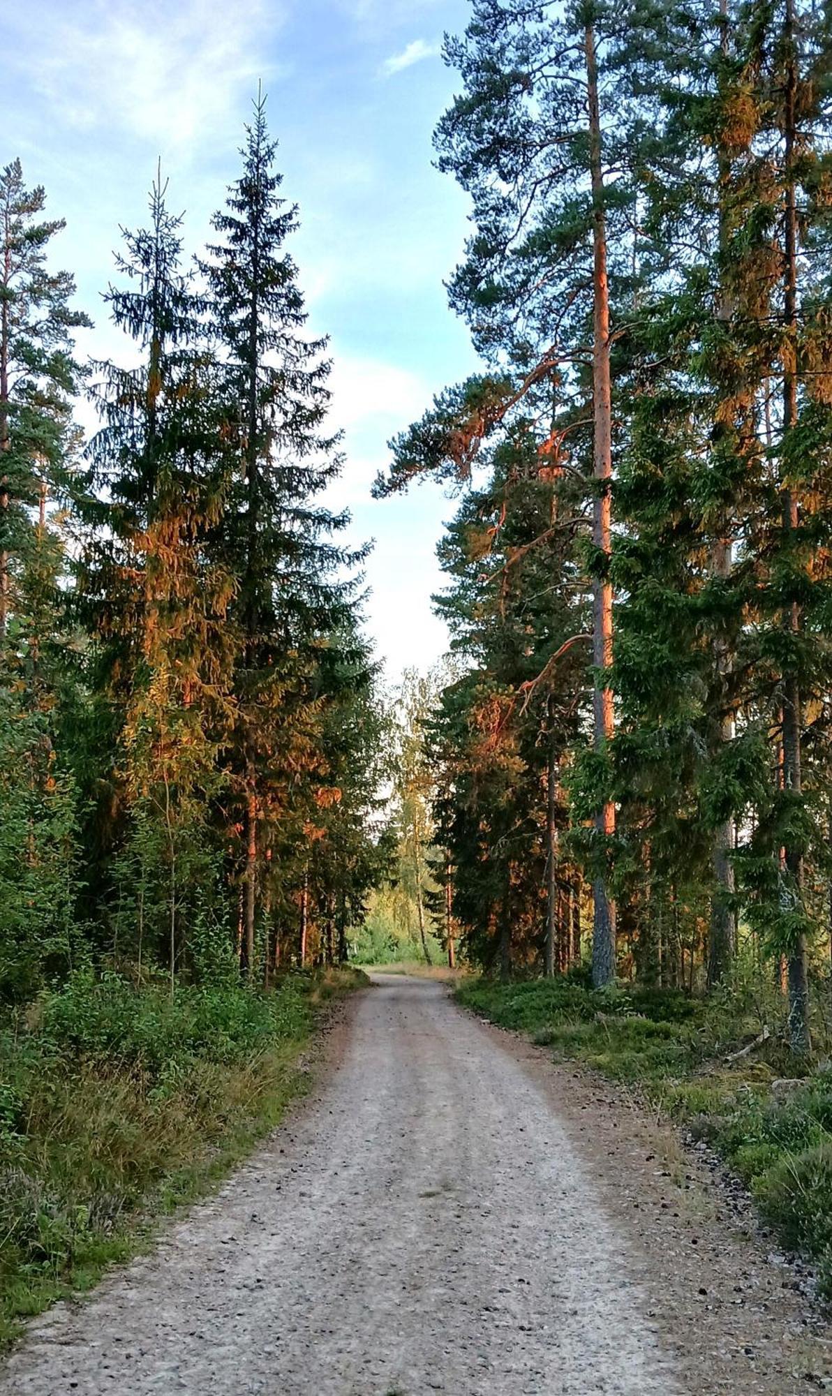 B&B Klaraelvsbanan Deje Экстерьер фото
